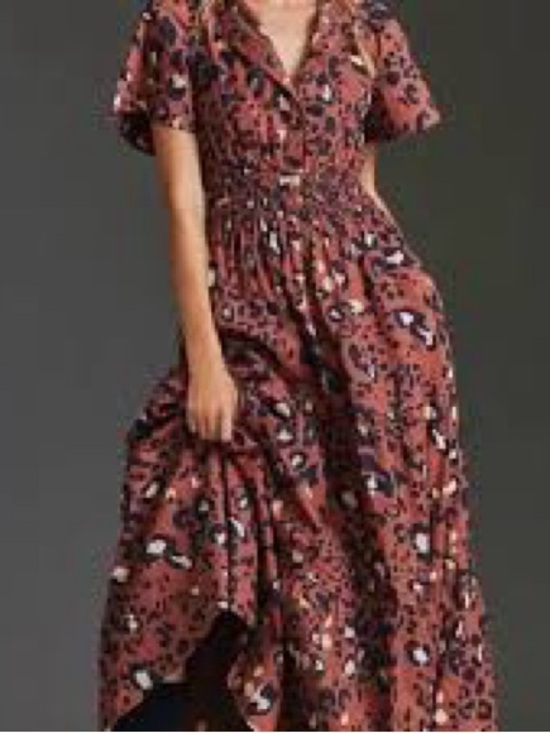 Anthropologie Dresses & Skirts - Anthropology Maeve The Somerset Maxi Dress in Leopard Brown Tan Size Large